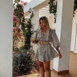 Zara snake print button dress